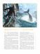 Книга-артбук Історія створення Assassin's Creed: 15-та річниця MAL212 фото 5